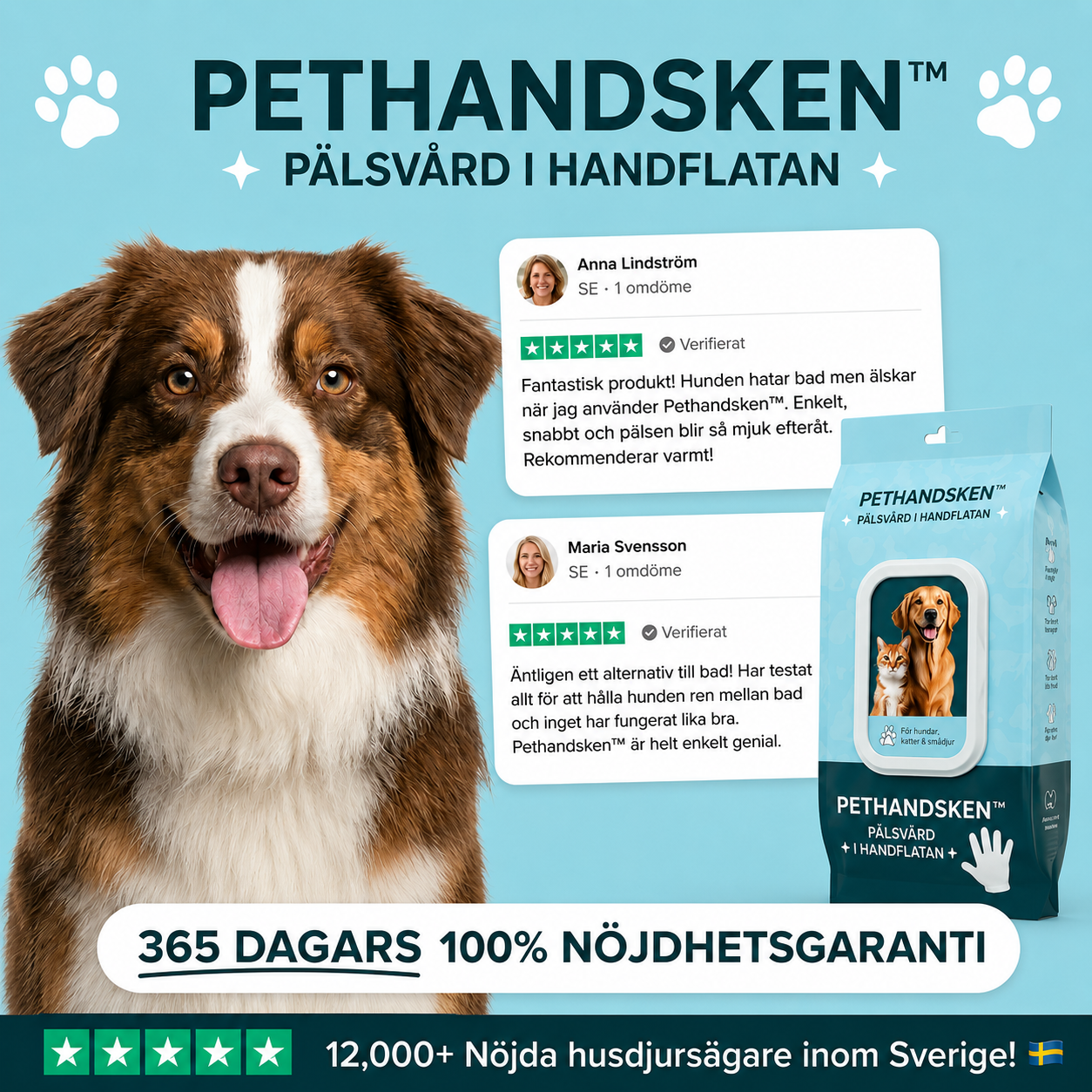 PETHANDSKEN™ - PÄLSVÅRD I HANDFLATAN